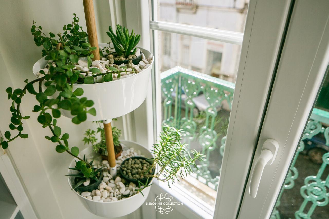 Very Central And Charming Apartment 60 By Lisbonne Collection Lisboa Exterior foto